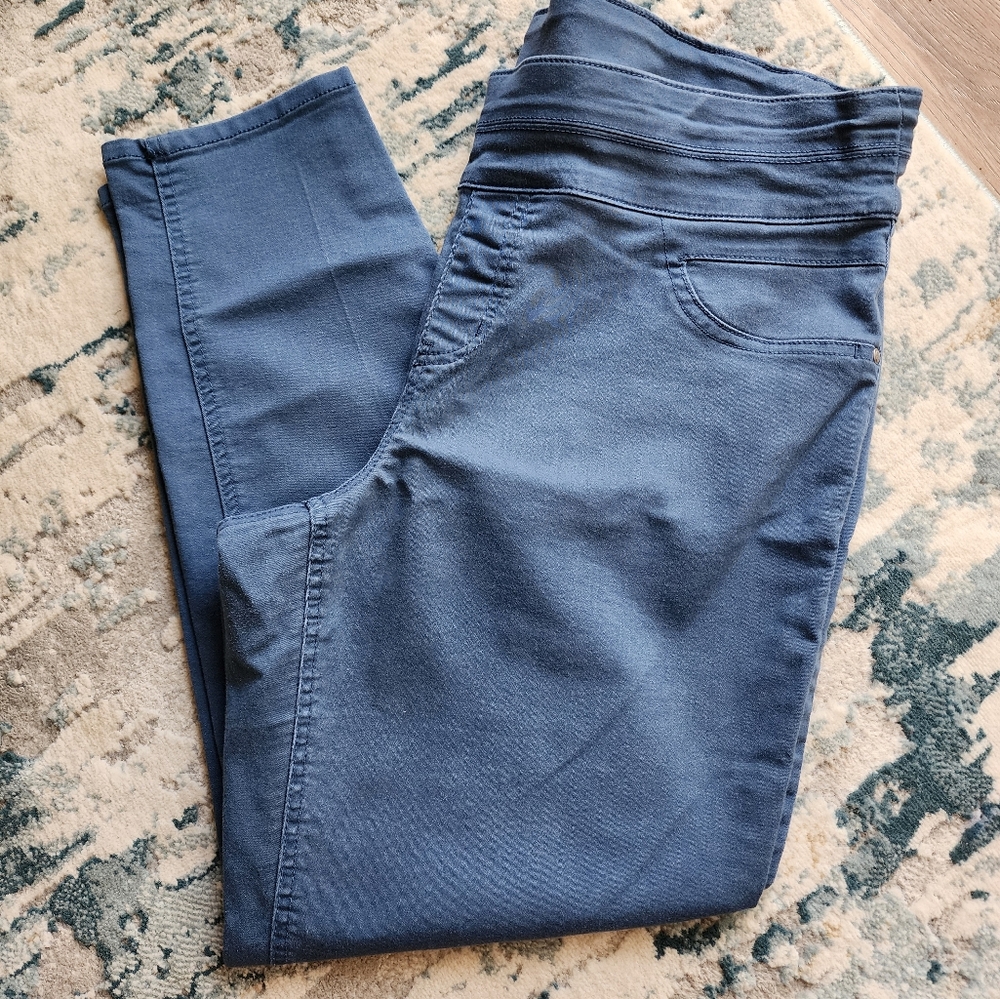 Style & Co. Blue Skinny Pants Size 18